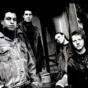 Quicksand - List pictures