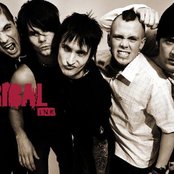 Tribal Ink - List pictures