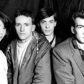 The Wake - List pictures