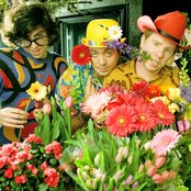 Eleventy Seven - List pictures