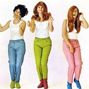 The Shangri-las - List pictures