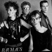 Bauhaus - List pictures
