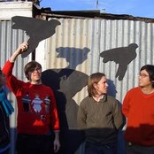 The Crayon Fields - List pictures