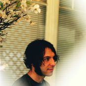 Daedelus - List pictures