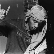 Del The Funky Homosapien - List pictures