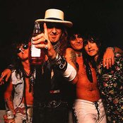 Dogs Damour - List pictures