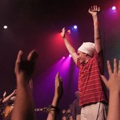 Nopsajalka - List pictures