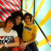 Wombats - List pictures