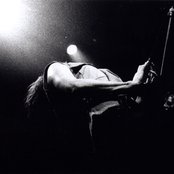 Young Gods - List pictures