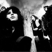 Bobo In White Wooden Houses - List pictures