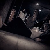 Visions Of Trees - List pictures