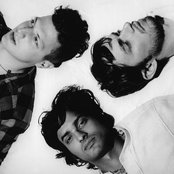 Yeasayer - List pictures