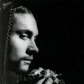 Chino Xl - List pictures