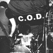 Los Natas - List pictures