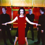 Garbage - List pictures