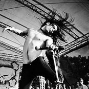 An Albatross - List pictures