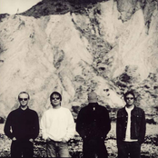 Ocean Colour Scene - List pictures