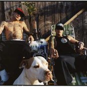 Kingspade - List pictures