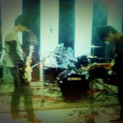 Birdstriking - List pictures