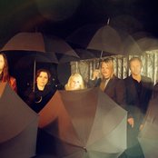 Husky Rescue - List pictures