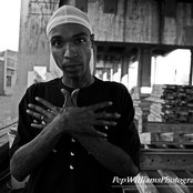 Cashis - List pictures