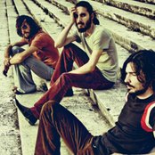 The Zen Circus - List pictures