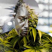 Dj Rashad - List pictures