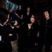 Scarling - List pictures