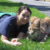 Laura Shigihara - List pictures