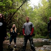 Cormorant - List pictures