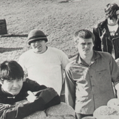 T.s.o.l. - List pictures