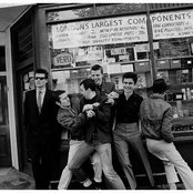 Madness - List pictures