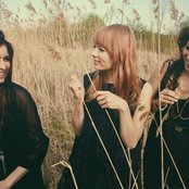 Magneta Lane - List pictures