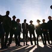 The Lions - List pictures