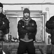 Raubtier - List pictures