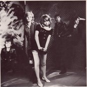 The Divinyls - List pictures