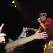 Nopsajalka - List pictures