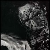 Ohgr - List pictures