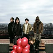 Lovebugs - List pictures