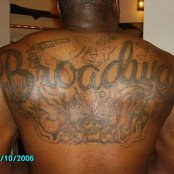 Willy Northpole - List pictures