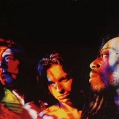 Dreadzone - List pictures