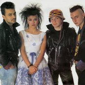 Bow Wow Wow - List pictures