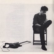 Lobo - List pictures