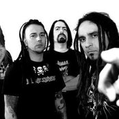 Stemm - List pictures