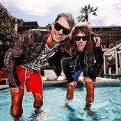 Stafford Brothers - List pictures