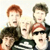 Die Prinzen - List pictures