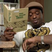 Devin The Dude - List pictures
