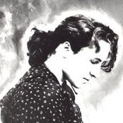 The Beloved - List pictures