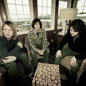 The Lonely Forest - List pictures