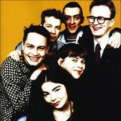 Sugarcubes - List pictures